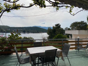 Ion Sea View